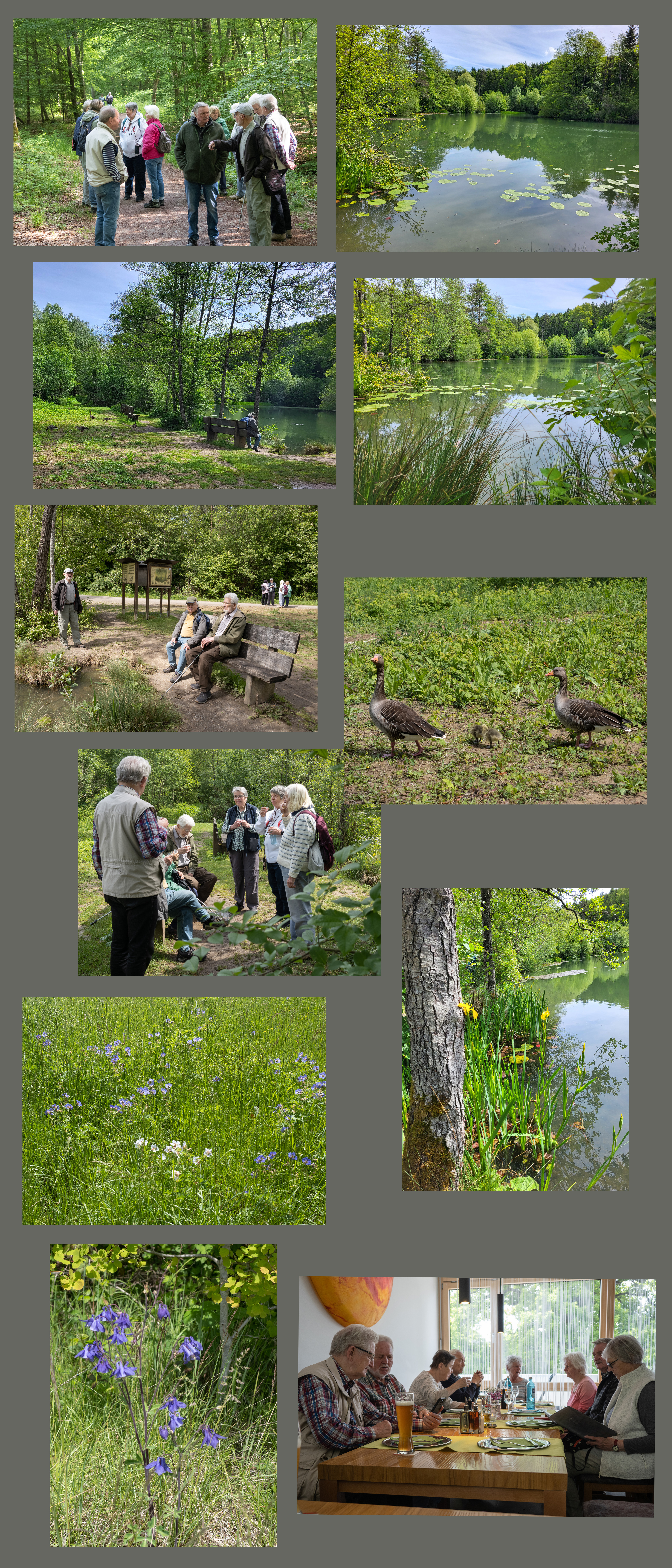 Zusammenstellung 17.05.26